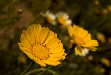 Similar image 287758