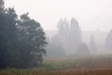 Similar image 287759