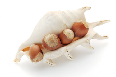 Similar image 287781