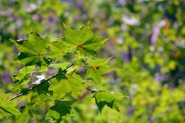 Similar image 287909