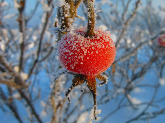 Similar image 287926