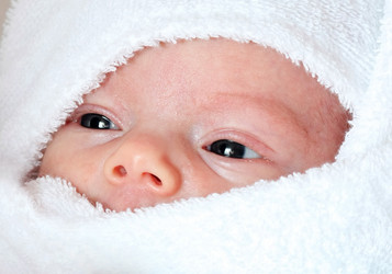 Similar image 287956