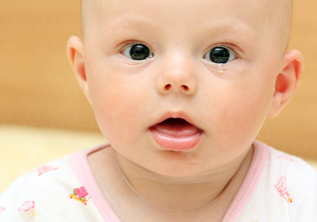 Similar image 287957