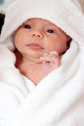 Similar image 287962