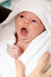 Similar image 287965