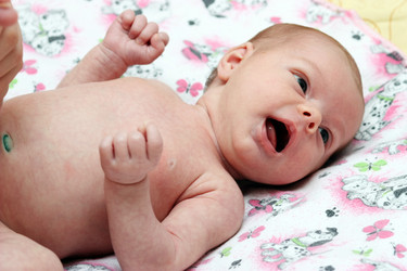 Similar image 287974