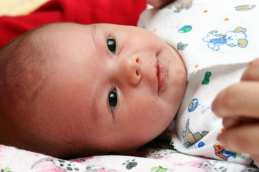 Similar image 287976