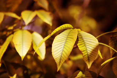 Similar image 287977