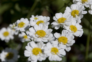 Similar image 287988