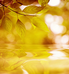 Similar image 287991