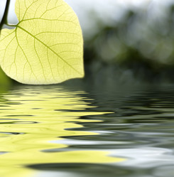 Similar image 287997