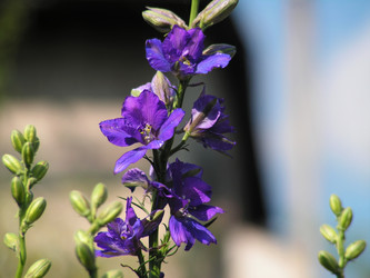 Similar image 288000