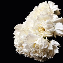 Similar image 288003