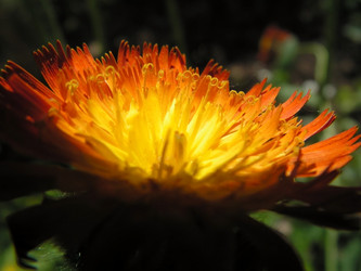 Similar image 288006