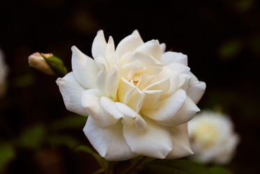 Similar image 288011