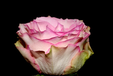 Similar image 288016