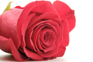 Similar image 288017