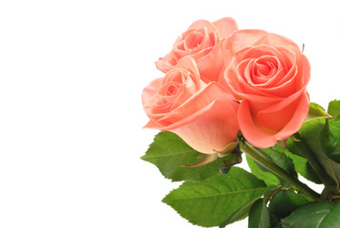 Similar image 288018