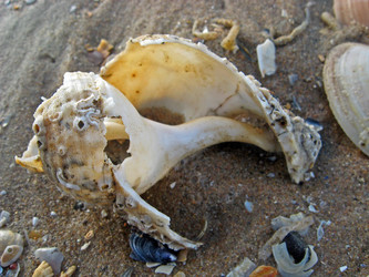 Similar image 288028