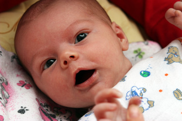 Similar image 288032