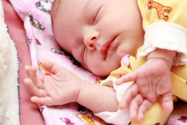 Similar image 288037