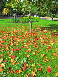 Similar image 288074