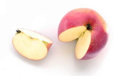 Similar image 288105