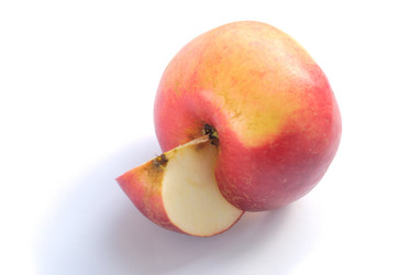 Similar image 288106