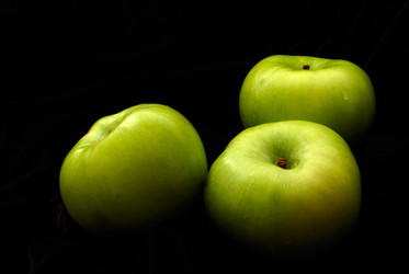 Similar image 288112