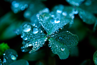 Similar image 288126