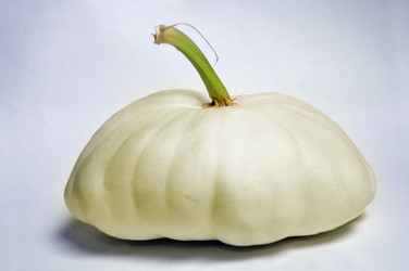 Similar image 288133