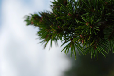 Similar image 288163