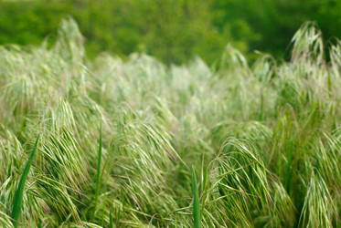 Similar image 288166