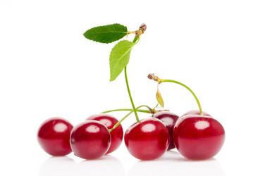 Similar image 288171