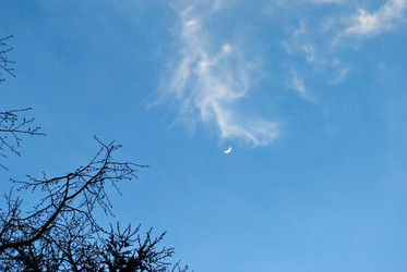 Similar image 288179