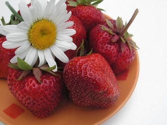 Similar image 288181