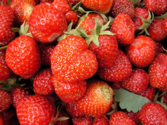 Similar image 288183