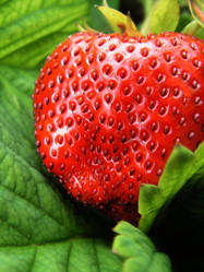 Similar image 288184