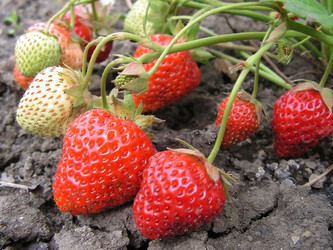 Similar image 288186