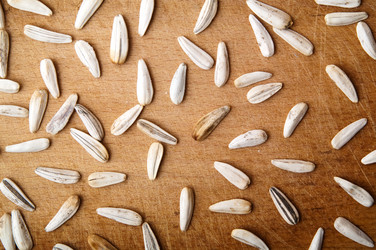 Similar image 288197