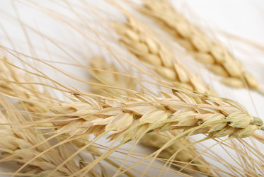 Similar image 288251