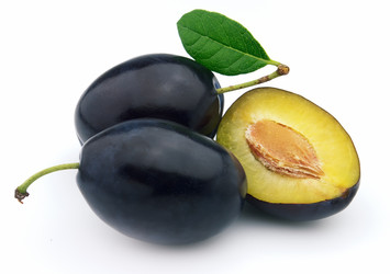 Similar image 288294