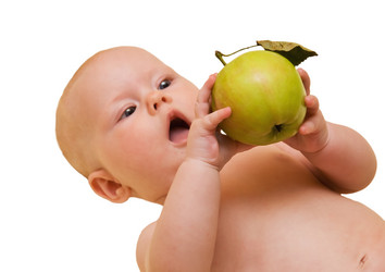 Similar image 288296