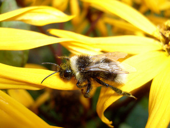 Similar image 288312