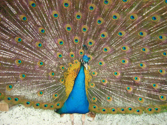 Similar image 288440