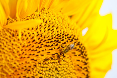 Similar image 288448