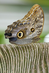 Similar image 288494