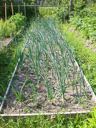 Similar image 288499