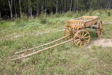 Similar image 288509