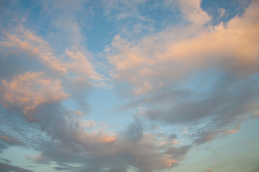 Similar image 288520